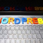 ブログアフィリエイト初心者におすすめのWordPress有料テーマと選ぶポイント3つ!